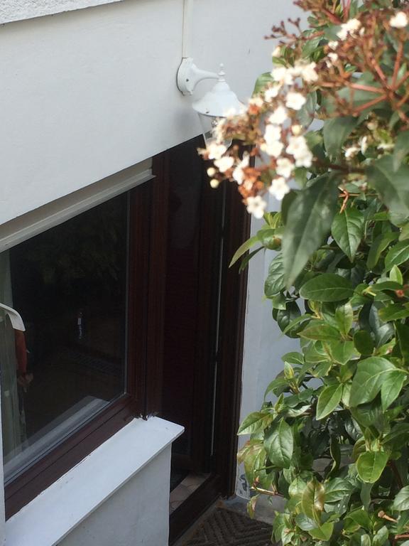 Wachtberg Appartement Rosengarten מראה חיצוני תמונה